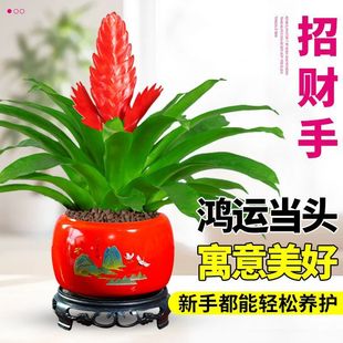 ��ؔ�����\���^����ֲ�ﻨ�������҃Ⱥ��B�͏d�ļ��_�������k����