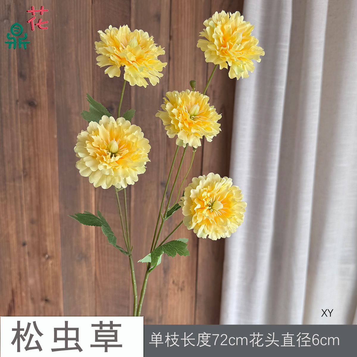 Dành cho người Trung Quốc XY màu vàng