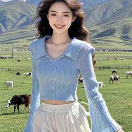 2026早秋新款韩系设计感翻领喇叭袖蓝色毛衣针织衫女短款上衣