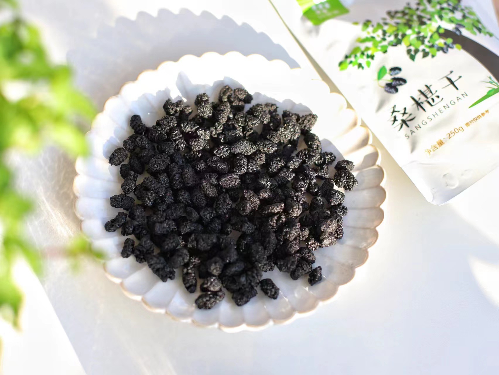 微信圖片_20230412175009