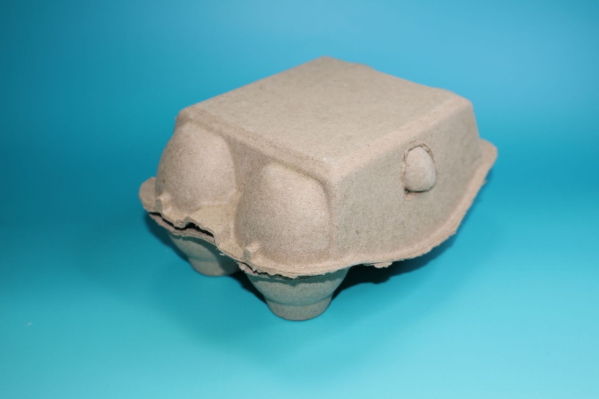 6 piezas de pulpa de huevo caja de huevo bandeja de huevo tierra caja de embalaje de pulpa de embalaje bandeja de huevo desechable a prueba de golpes degradación completa