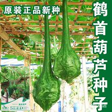 �Q�׺��J�N���ļ���������С���J�N�Ѿ��ͺ��J��ͥԺ������J�N��