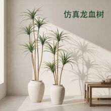������Ѫ��Gֲ�辰�٘��F��Ҿ��b��W�L�پGֲ���l�쾰��Ѫ�F