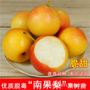 �Ϲ����޼t����������l�����޽ӹ������Ե���ͥԺ�������ּt��