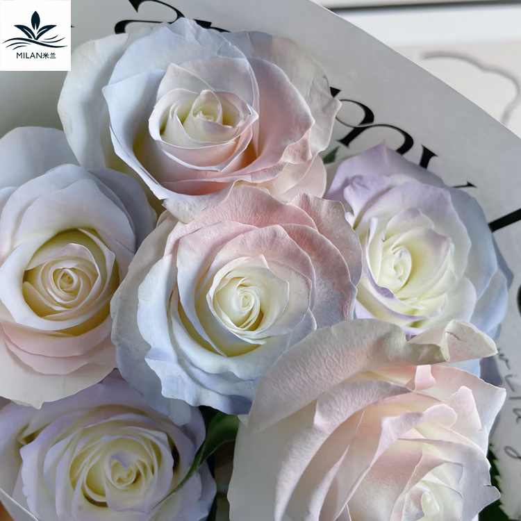 Flor spray color agente color spray agente de teñido floral auto-pintado Morandi color Flower shop suministros tinte material absorbente