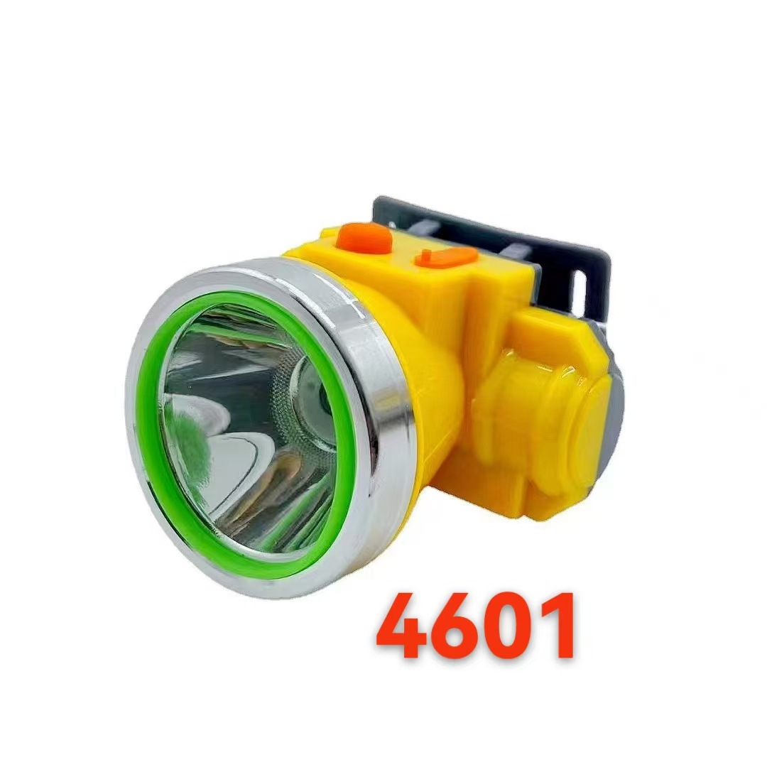 4601 100W 단일 리튬 배터리