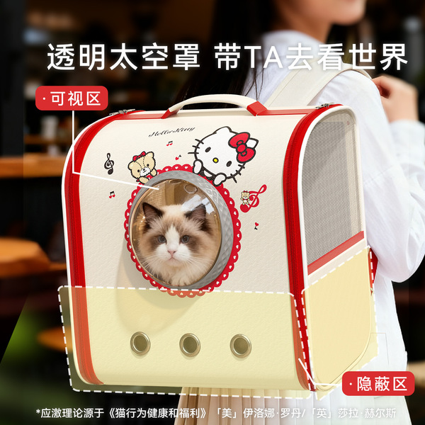 Handheld capacious space backpack to go out