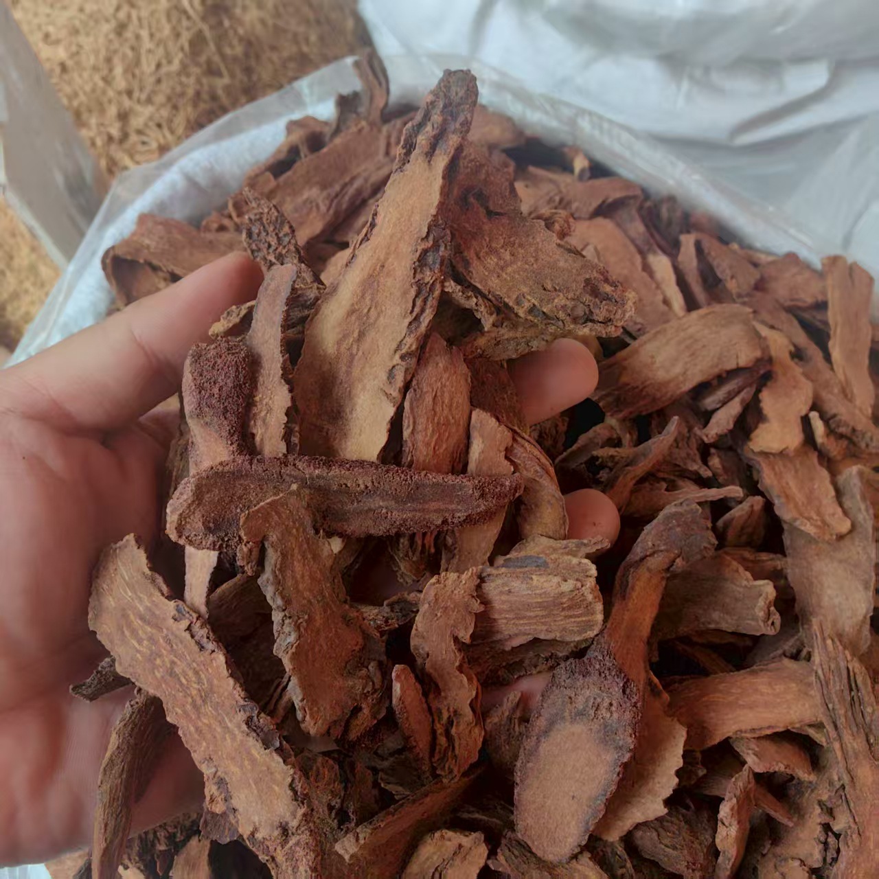 Cynomorium Slices Suo Yang 500g Dried Herbal Decoction Pieces Sun Dried key features