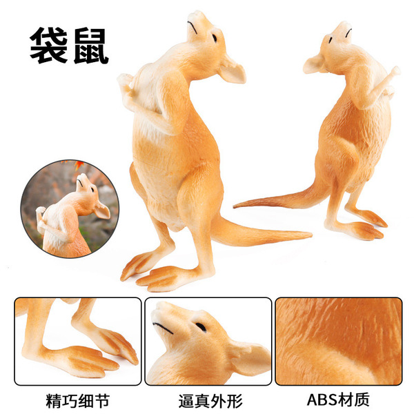 Kangaroo