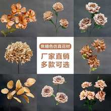 ��c����10֦�b����ɫ·���廨��Y���b��ÿ�ɫ����