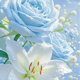 ����ϵ����õ��ٺϻ����������᷿�g�b��ڮ������z�N��
