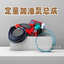 12V24V220V大流量自吸抽油泵加油机柴油煤油定量加油泵小型加注机