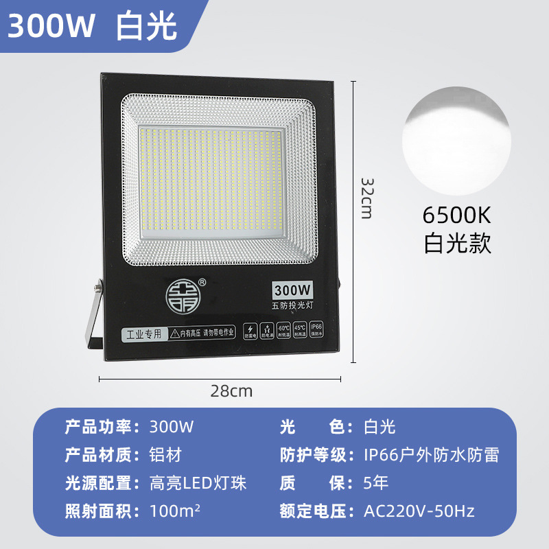 300w white light [smart led chip]