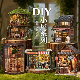 建筑/DIY小屋/拼装玩具;建筑模型;说明书