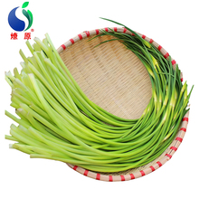 ��ԭ��̦�ﱾ�ػ�����޷���������������ɽ��������������߲�