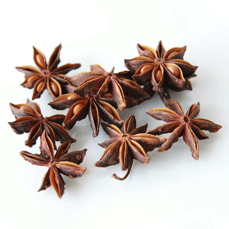 Dry Flower DIY Materials [Dry Fruit] Madman Sommelier Candle Plant Simagon Handmade Class Dry Flower Dry Branches Material