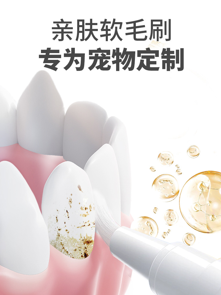Cat and dog teeth cleaning pen with calculus remover