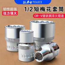 拓力士台湾梅花套筒 超薄型1/2大飞十二角头棘轮扳手汽车维修工具