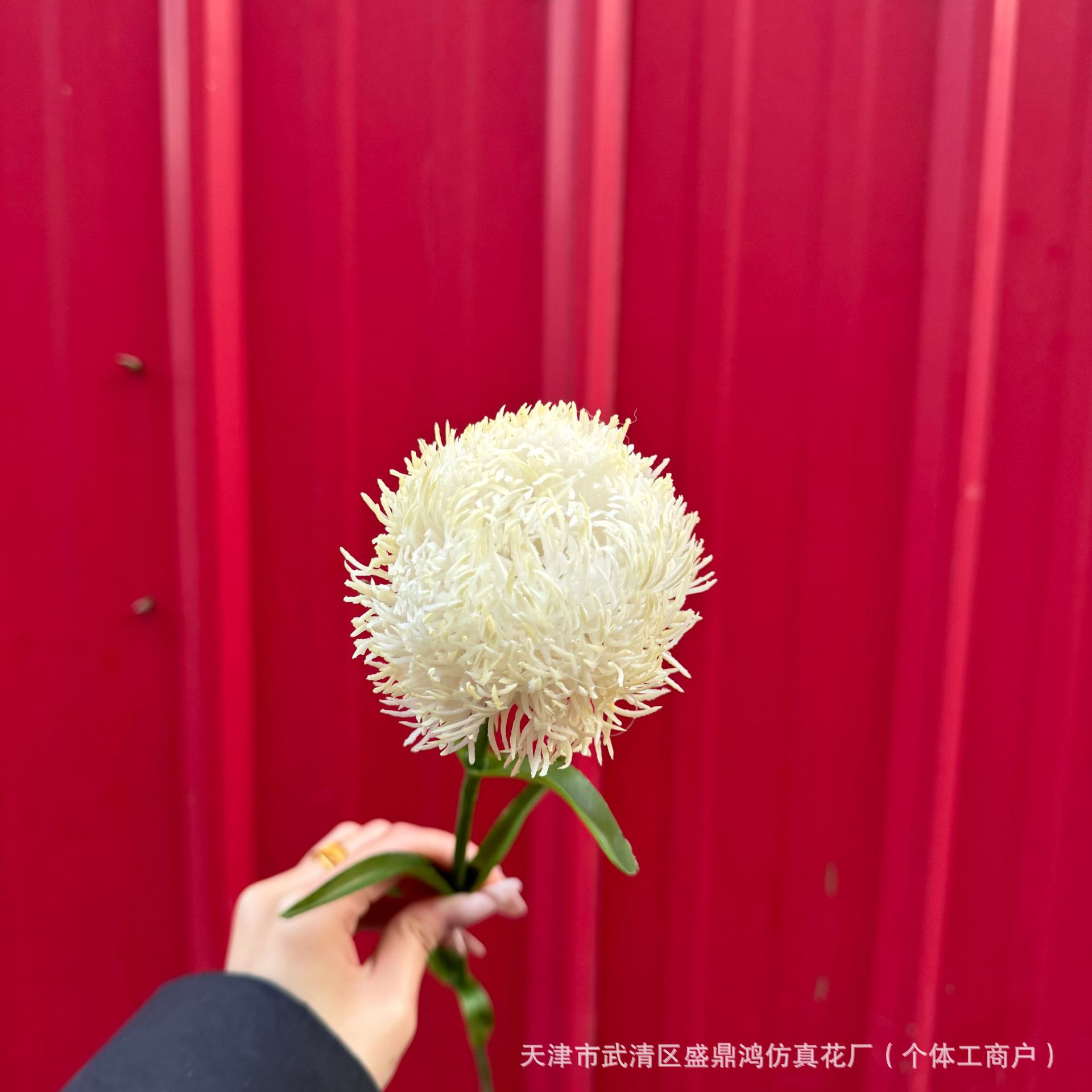 샴페인