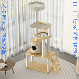 ���͌�ľ؈����؈�C؈ɰ��һ�w��ż����Ӵ�̫��œ��ľ��