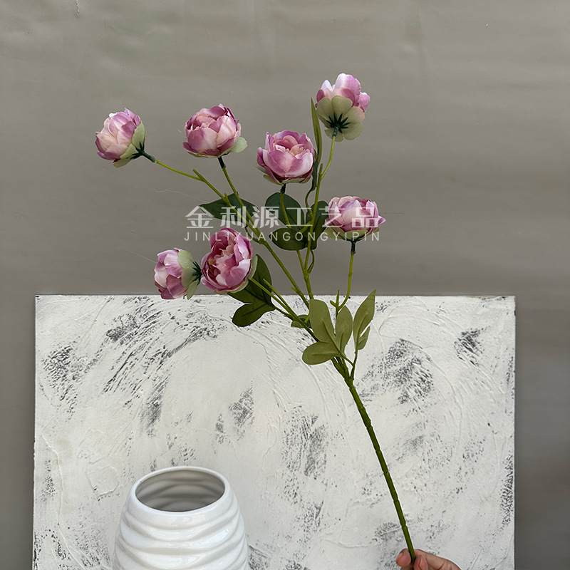 Purple exquisite peony