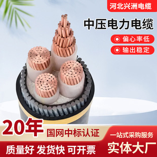 �S�����l�Љ������|�~о��о��|��������늾W���Љ������|