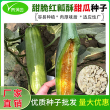 ������ȿ����������ļ������Ƥ�����Ϲ���ȫ��ţ���ֹ�����