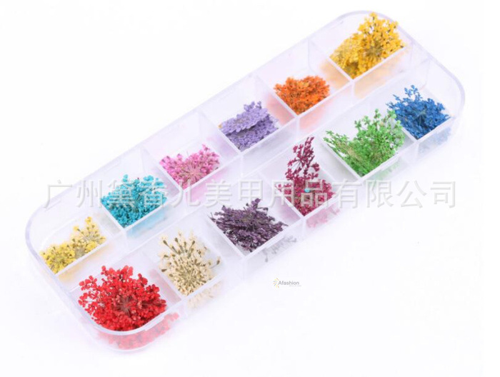 HTB1S89cfkCWBuNjy0Faq6xUlXXad