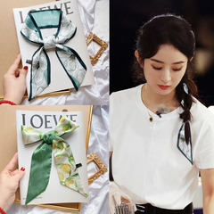 Long silk scarf for women in spring and autumn French style ribbon braided hairband scarf fruit tied bag decoration small streamer
