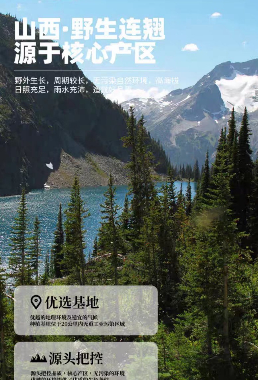 Lian Qiao Powder (Forsythia suspensa) — Dried Food Herb for Tea & Daily Wellness overview