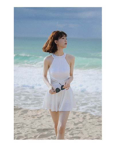 厂家直销 一件代发泳衣女连体新款保守裙式依莎韦尔Y8206