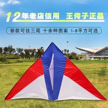 王侉子风筝544软伞布碳杆专业大型三角成人微风易飞新款五色