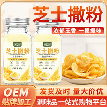 芝士味撒粉奶酪味小瓶装鸡排薯条地瓜油炸小吃家用炸鸡甘梅粉韩式