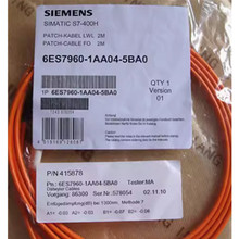 6ES7960-1AA04-5BA0���T��S7-400H 2����|6ES7960-1AA04-5BAO