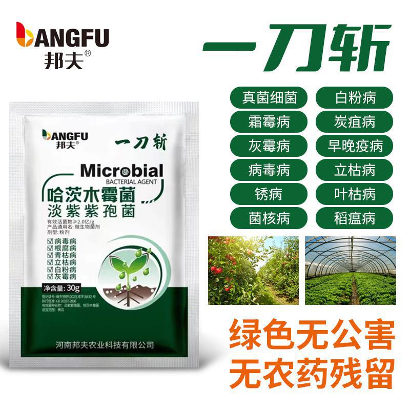 哈茨木霉菌淡紫紫孢菌以菌治菌抗重茬蔬菜通用肥
