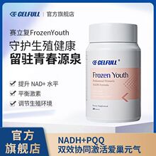 ��12ƿ�b �����g��PQQ�����wNADH��ů����˥���B�B�