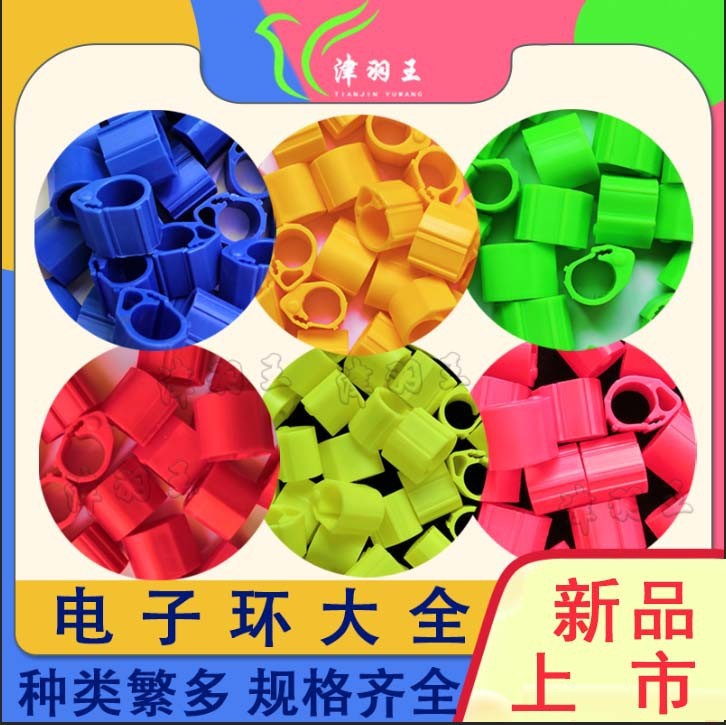 Jinyu King Pigeon Pigeon Pigeon Pigeon Chip Chip Electronic Circle…