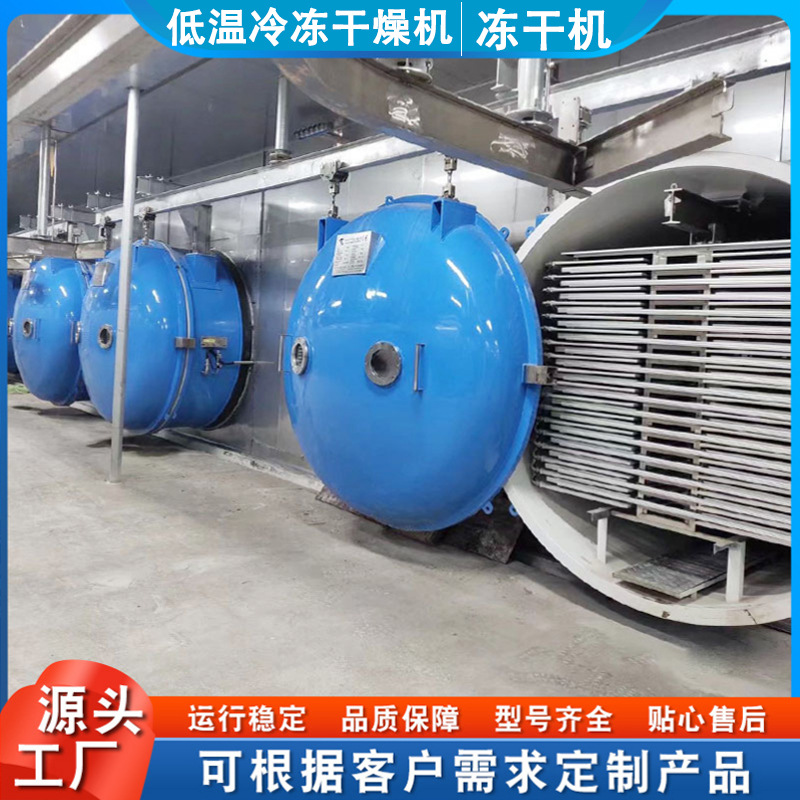 冻干酥脆银鱼设备 赤松茸冻干机10平方 真空冷冻干燥机低温脱水