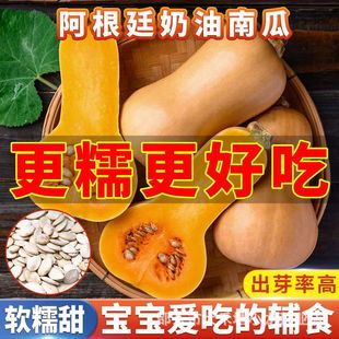 ����Ŵ�����ϹϷN�Ӻó������۱��Ϲ����ļ�ͥԺ���ԷNֲ�߲˷N��