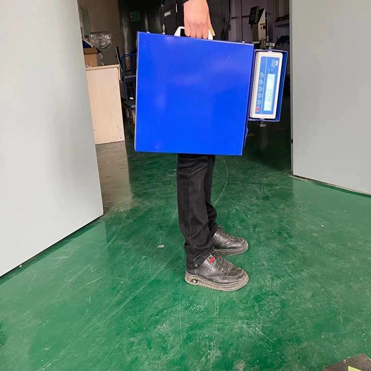 Taiheng зерновые мобильные портативные 100 кг портативные весы Bluetooth, подключенные к Экспресс-логистике мобильного телефона КПК литиевая батарея