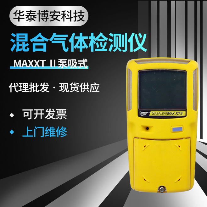 LEL/H2S/O2/CO气体报警器BW复合气体浓度检测仪泵吸式气体探测器