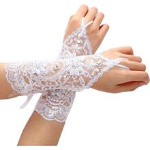A 51025 Lace Wedding Gloves ������˿���� �羳��������ѷ