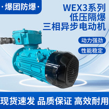 爆团防爆 WEX3系列低压隔爆三相异步电动机 南阳卧龙防爆电动机