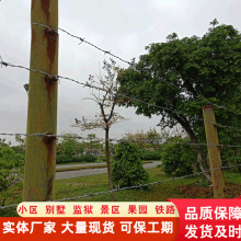 防爬防盗钢丝刺绳网监狱机场带刺防护网铁蒺藜铁丝网刺绳隔离围栏