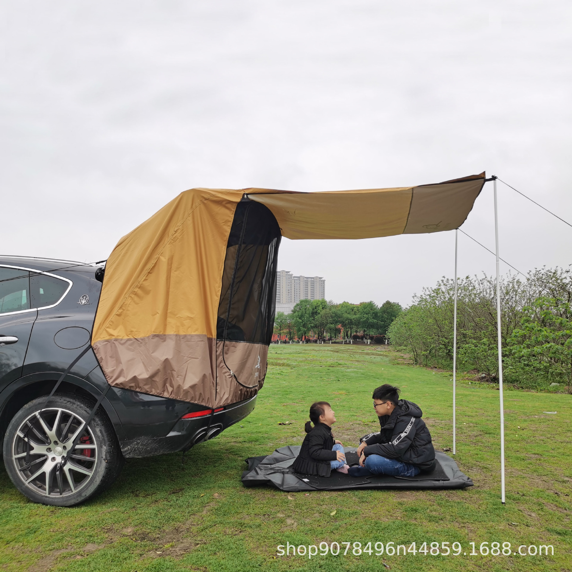 다크 브라운 다리미 없음