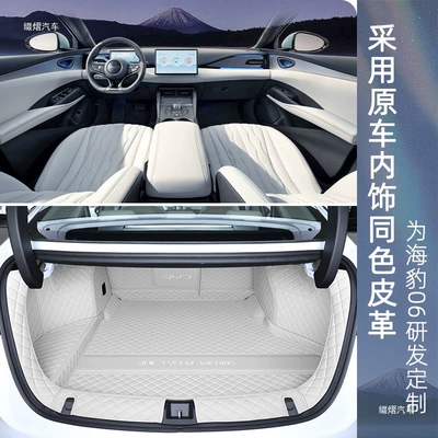 BYD Seal 06dmi full-cover: Trunk Mat