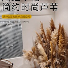 ��Ʒ���JȔ��Ȕ�ɻ��������������Ĕz���ߙ���������Ȼ��Ȼ������