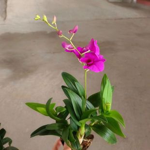 �؃r�����t��īʯ���m���ļ��_�������՚��҃�����
