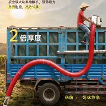 ϼZ¿ZC2023üZʳCСϙCܛܳZC