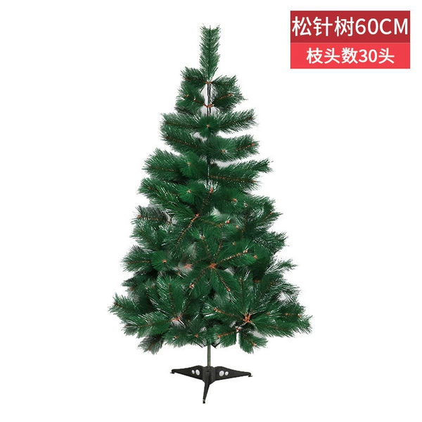 Хвоя